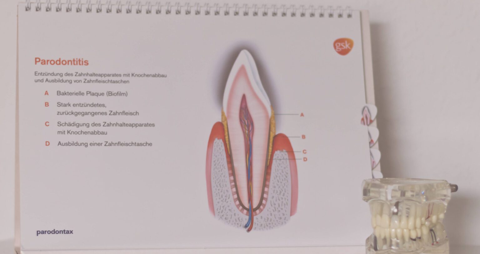Zahnwerk Wolfen Behandlungsraum